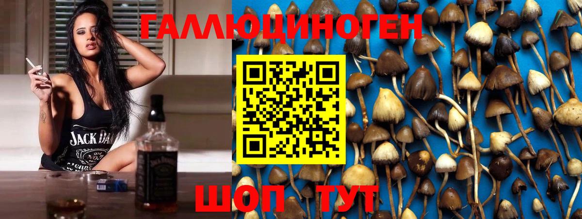 Галлюциногенные грибы Psilocybine cubensis Муравленко