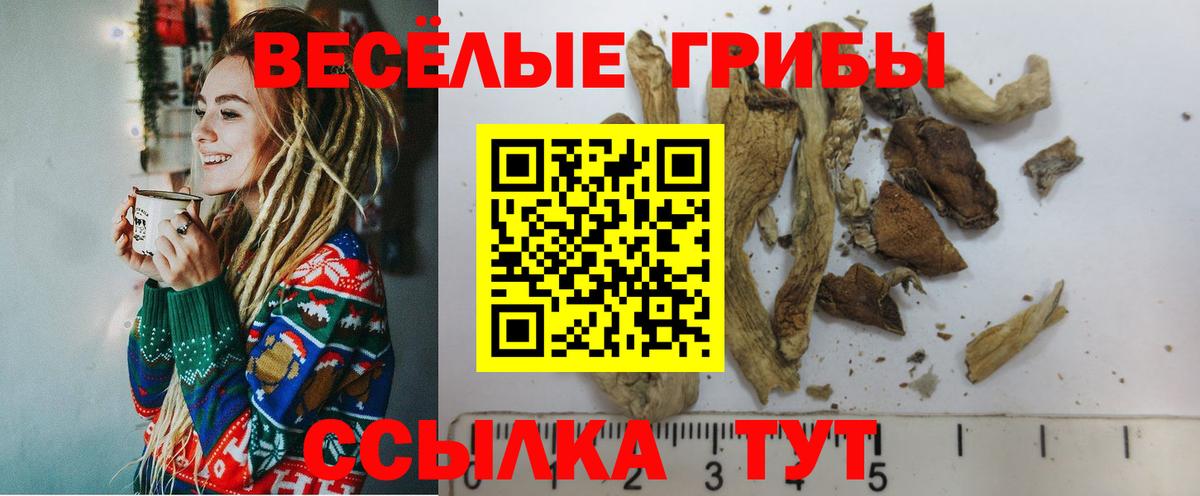 Псилоцибиновые грибы ЛСД  Псилоцибиновые грибы Psilocybine cubensis  Муравленко  Вход с VPN 